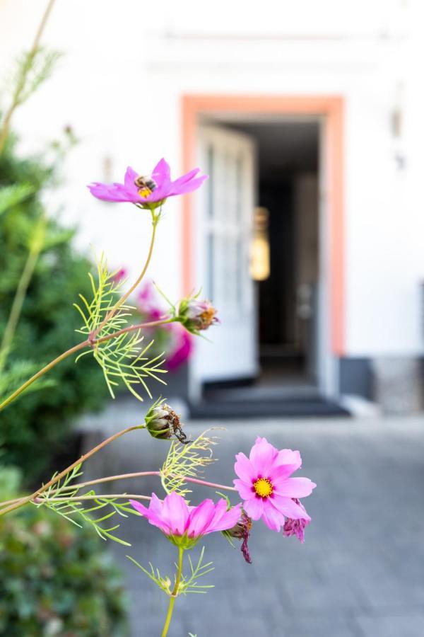 Ferienwohnung Brenner Hollersbach im Pinzgau Exteriér fotografie